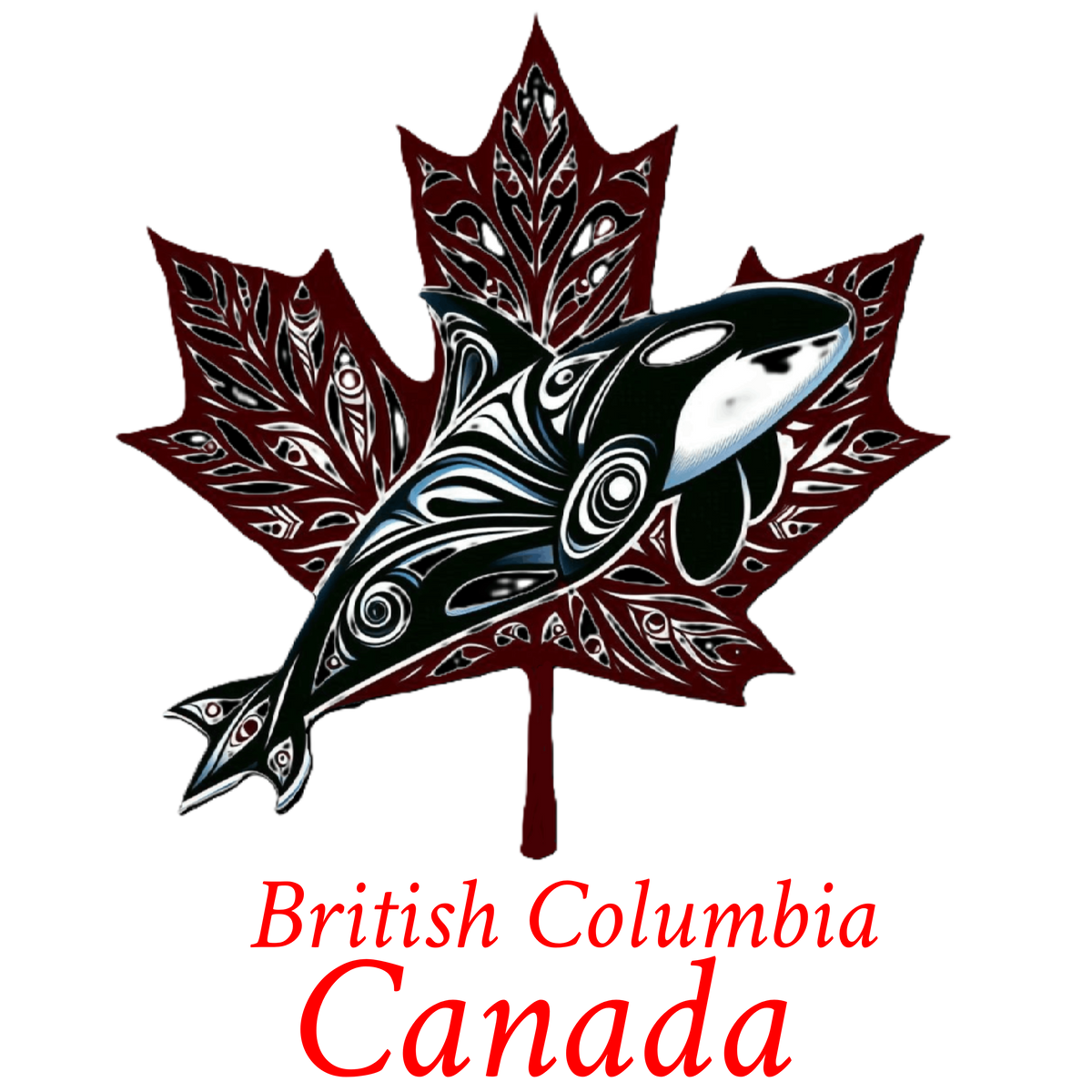 Killer whale maple T-BC6