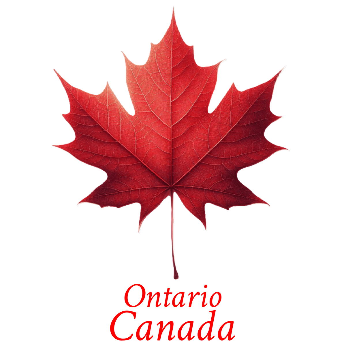 Classic red maple T-ONT8