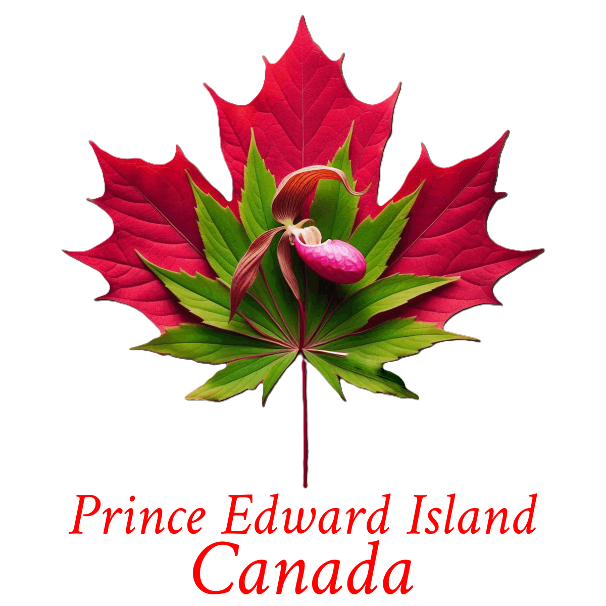 Lady slipper maple T-PEI1
