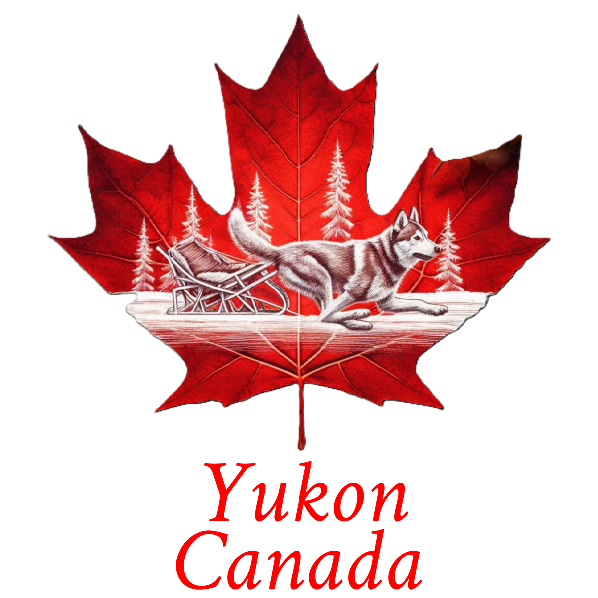 Yukon Husky maple T-YT6