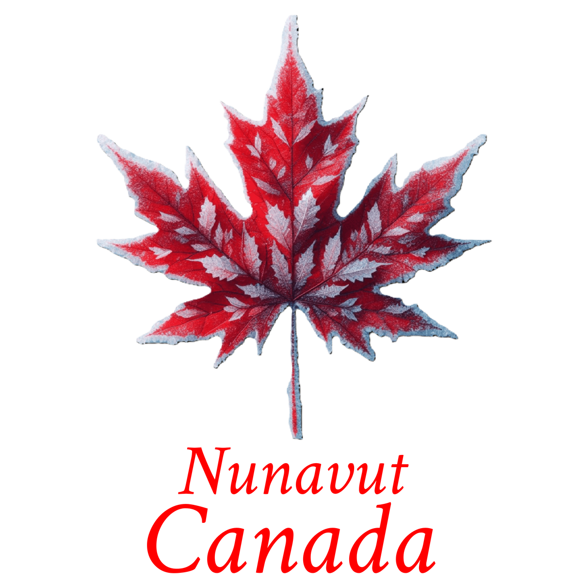 Frosted leaf maple T-NU5