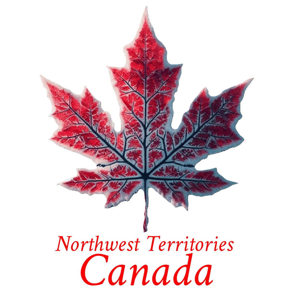 Frosty leaf maple T-NWT10