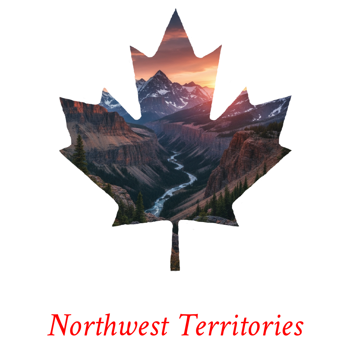Mountain canyon maple T-NWT20
