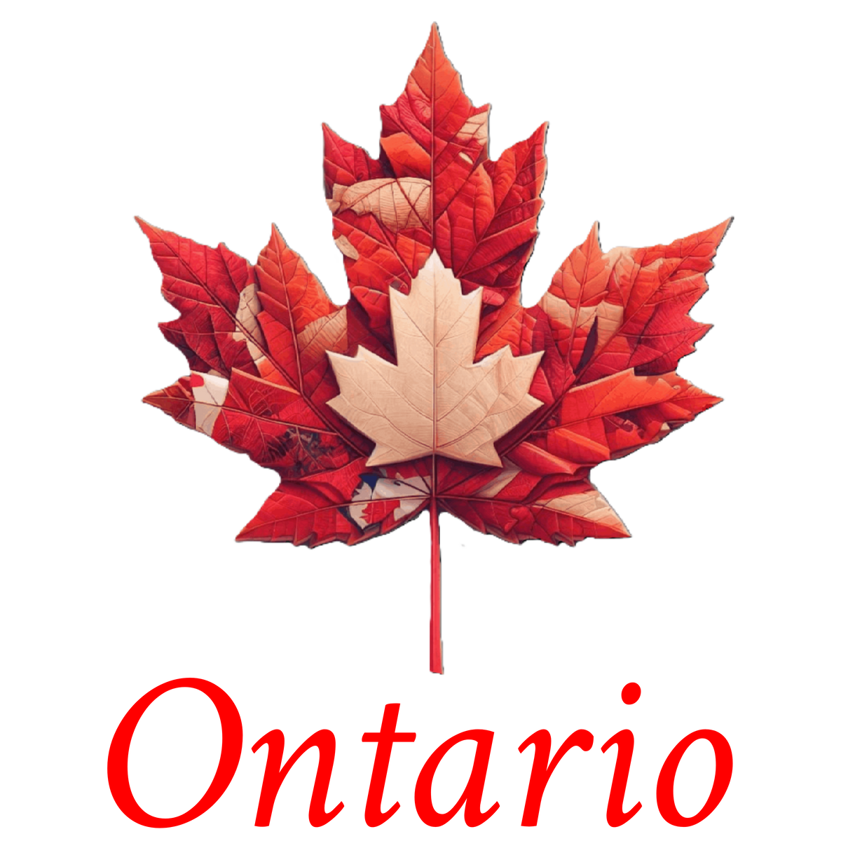 Autumn leaf maple T-ONT10