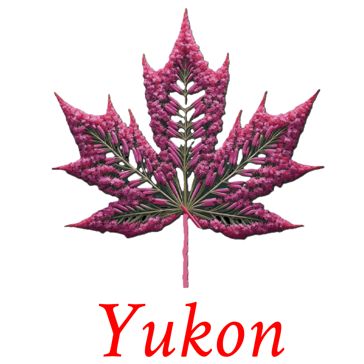 Yukon Fireweed maple T-YT7
